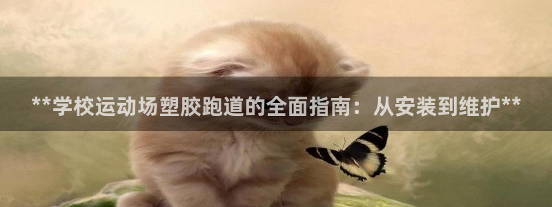 谈球吧属于哪个：**学校运动场塑胶跑道的全面指南：从安装到维护**