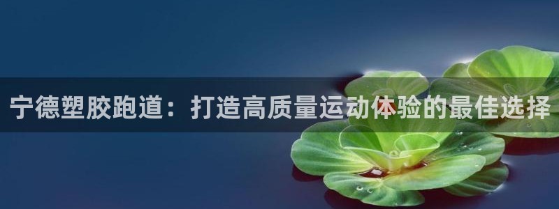 谈球吧app靠谱吗：宁德塑胶跑道：打造高质量运动体验的最佳选择