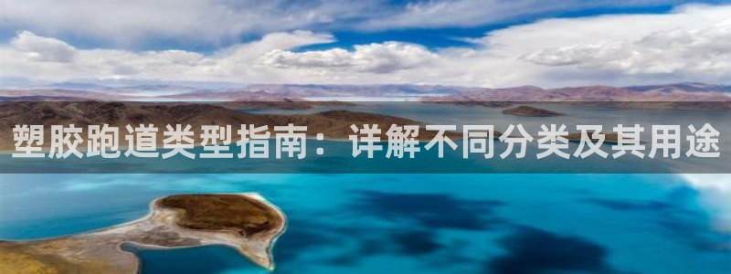 谈球吧论坛：塑胶跑道类型指南：详解不同分类及其用途
