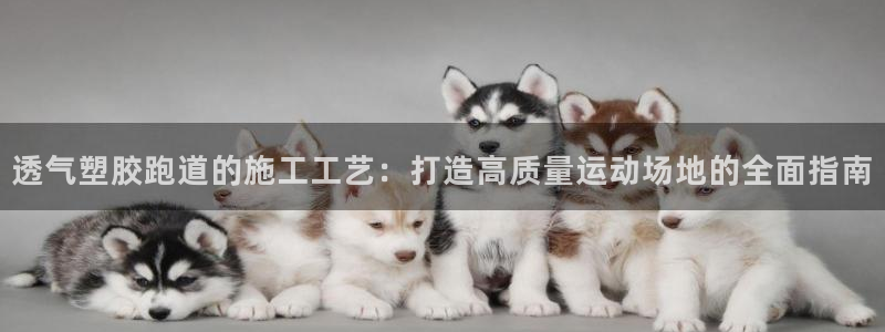谈球吧体育ios下载：透气塑胶跑道的施工工艺：打造高质量运动场地的全面指南