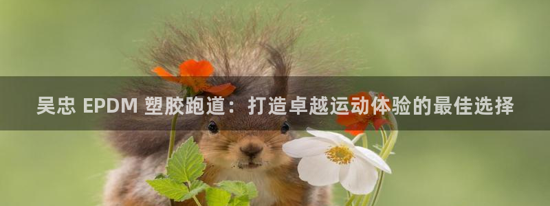 谈球吧官网app：吴忠 EPDM 塑胶跑道：打造卓越运动体验的最佳选择
