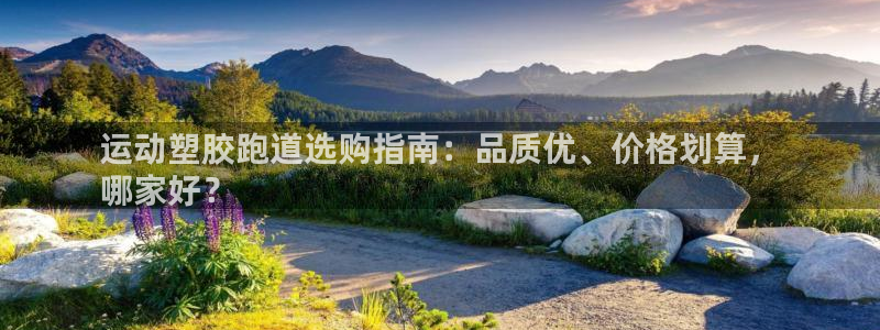 谈球吧言网入口：运动塑胶跑道选购指南：品质优、价格划算，
哪家好？