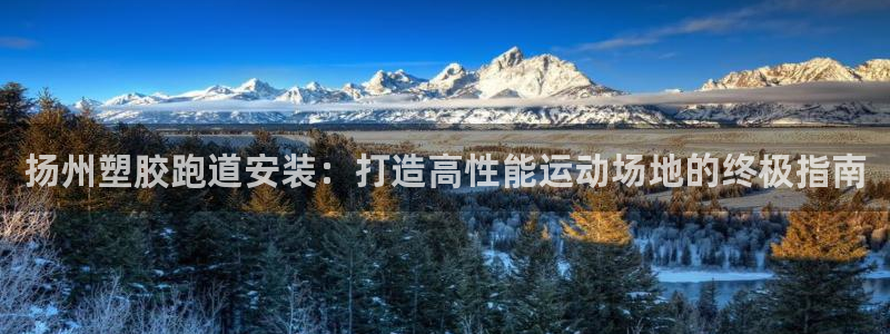 谈球吧官网入口：扬州塑胶跑道安装：打造高性能运动场地的终极指南