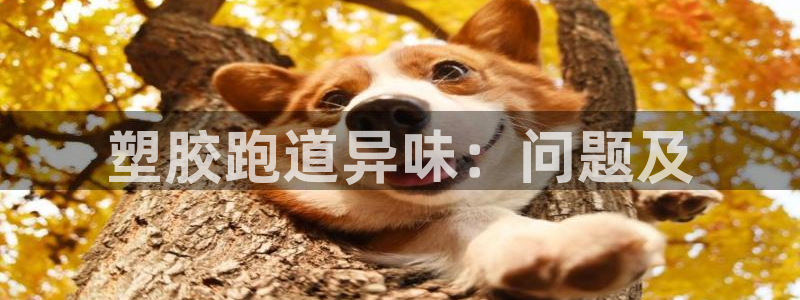 谈球吧体育app下载中心官方最新版：塑胶跑道异味：问