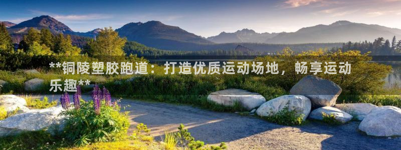 谈球吧体育赛事：**铜陵塑胶跑道：打造优质运动场地，畅享运动
乐趣**