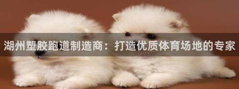 谈球吧可靠吗：湖州塑胶跑道制造商：打造优质体育场地的专家