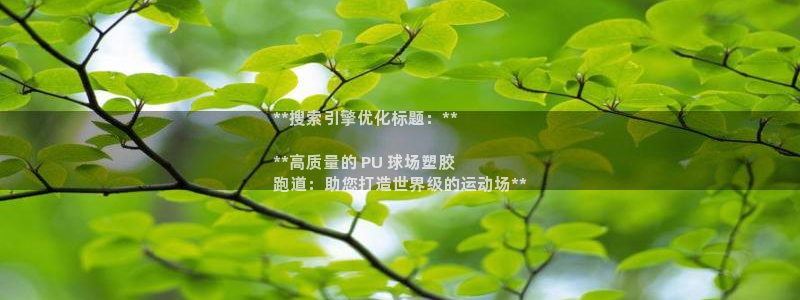 谈球吧平台app：**搜索引擎优化标题：**

**高质量的 PU 球场塑胶
跑道：助您打造世界级的运动场**