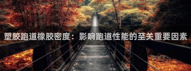 谈球吧体育app登陆：塑胶跑道橡胶密度：影响跑道性能的至关重要因素