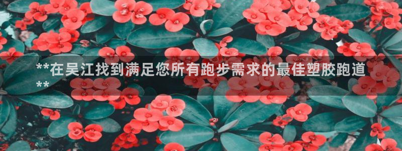 谈球吧论坛：**在吴江找到满足您所有跑步需求的最佳塑
