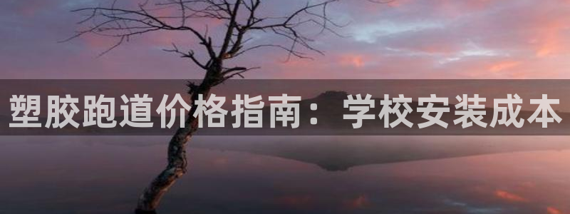 谈球吧app在哪里下载：塑胶跑道价格指南：学校安装成本