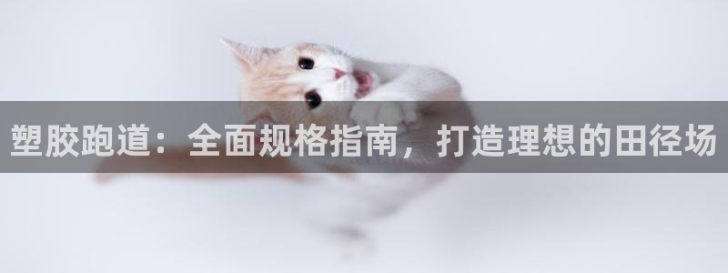 谈球吧app下载：塑胶跑道：全面规格指南，打造理想的田径场