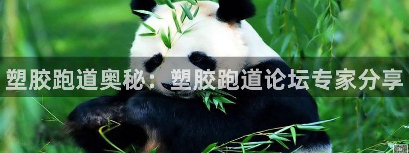 谈球吧体育综合：塑胶跑道奥秘：塑胶跑道论坛专家分享