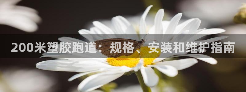 谈球吧是黑台子吗：200米塑胶跑道：规格、安装和维护指南