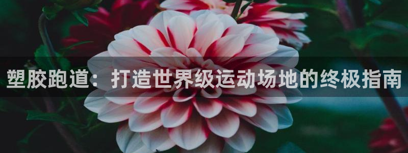 谈球吧体育app登陆不了：塑胶跑道：打造世界级运动场地的终极指南