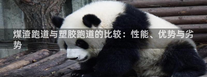 谈球吧体育app下载中心：煤渣跑道与塑胶跑道的比较：性能、优势与劣
势