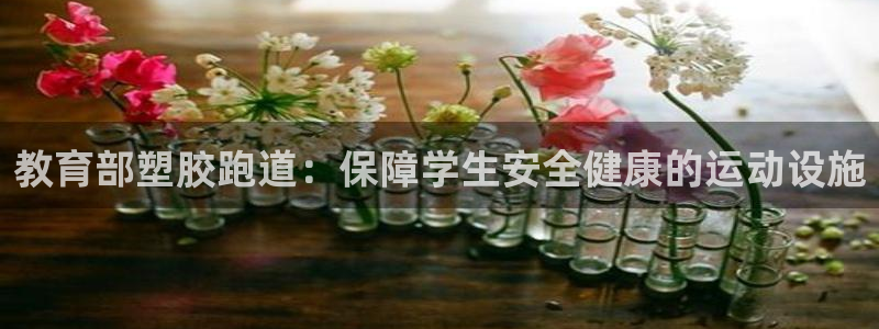 谈球吧是黑台子吗知乎全文：教育部塑胶跑道：保障学生安全健康的运动设施