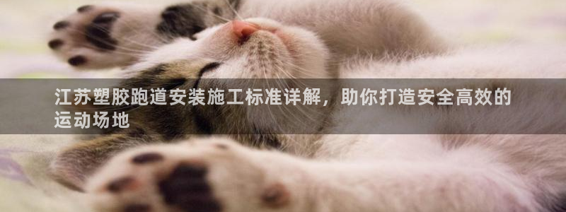 谈球吧app赛事分析在哪里看到：江苏塑胶跑道安装施工标准详解，助你打造安全高效的
运动场地
