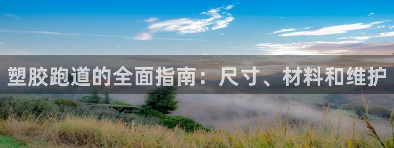 谈球吧登录网：塑胶跑道的全面指南：尺寸、材料和维护