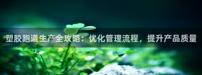 谈球吧官网在线入口免费观看高清版：塑胶跑道生产全攻略：优化管理流程，提升产品质量