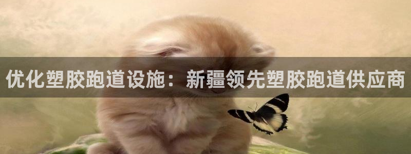 谈球吧APP：优化塑胶跑道设施：新疆领先塑胶跑道供应商