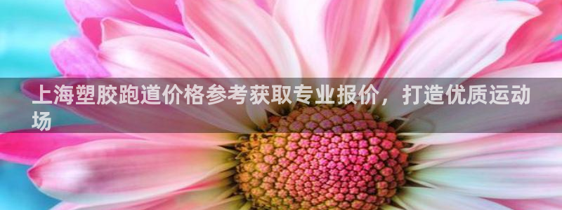 谈球吧官网入口在线观看：上海塑胶跑道价格参考获取专业报价，打造优质运动
场
