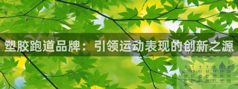 谈球吧nba：塑胶跑道品牌：引领运动表现的创新之源