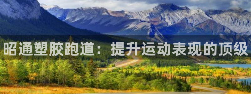 谈球吧体育app下载官网：昭通塑胶跑道：提升运动表现的顶级
