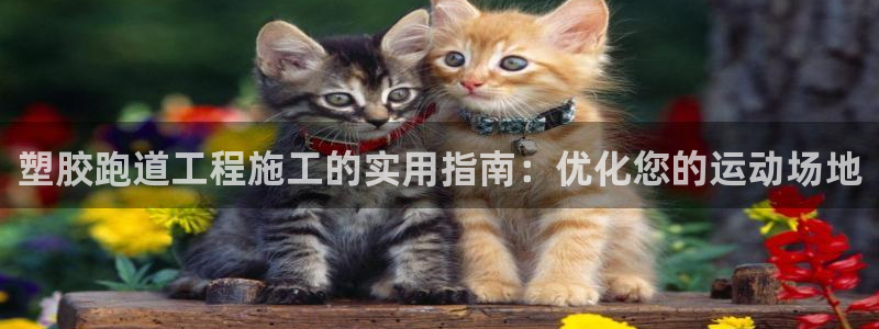 谈球吧能提现不：塑胶跑道工程施工的实用指南：优化您的运动场地