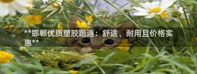 谈球吧体育app下载足球直播视频