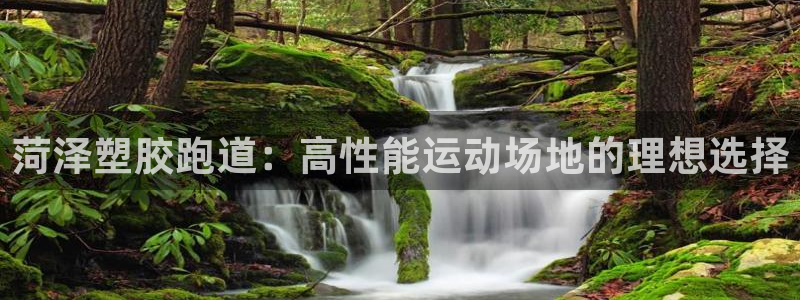 谈球吧体育综合：菏泽塑胶跑道：高性能运动场地的理想选择