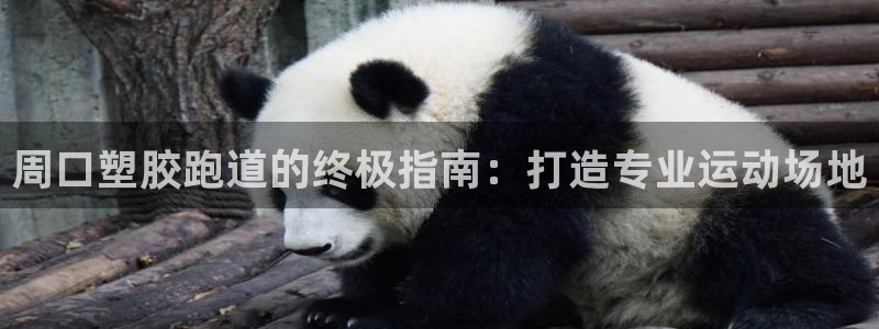 谈球吧娱乐app下载官网苹果：周口塑胶跑道的终极指南：打造专业运动场地