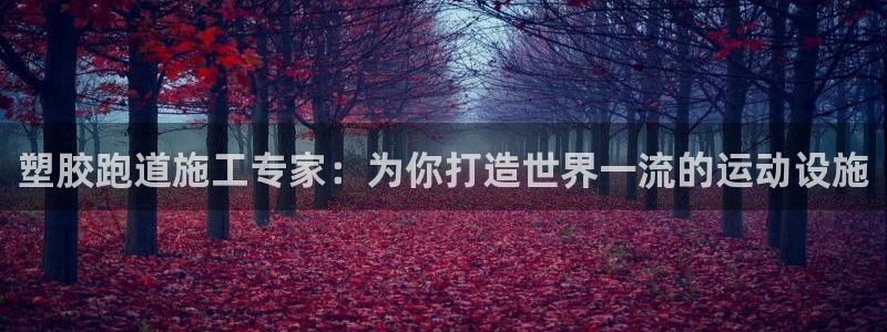 谈球吧app官网：塑胶跑道施工专家：为你打造世界一流的运动设施