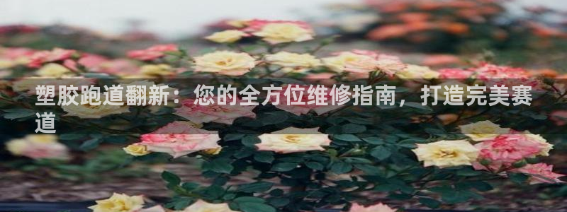 谈球吧体育app下载中心在哪找：塑胶跑道翻新：您的全方位维修指南，打造完美赛
道