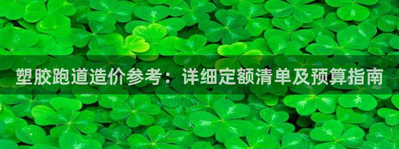 谈球吧是否诈骗：塑胶跑道造价参考：详细定额清单及预算指南
