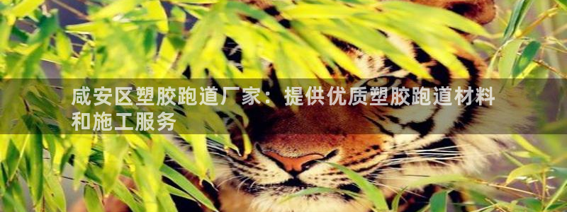 谈球吧app靠谱吗：咸安区塑胶跑道厂家：提供优质塑胶