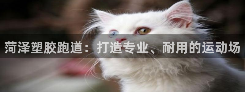 谈球吧官网app：菏泽塑胶跑道：打造专业、耐用的运动场