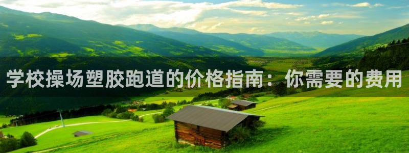 谈球吧全站app下载：学校操场塑胶跑道的价格指南：你需要的费用