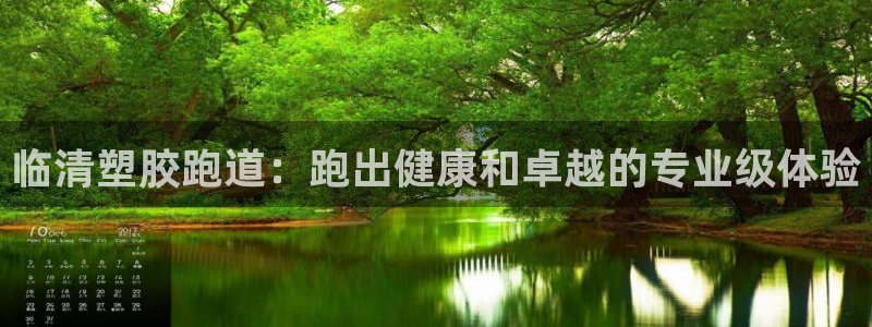 谈球吧出款怎样?：临清塑胶跑道：跑出健康和卓越的专业级体验