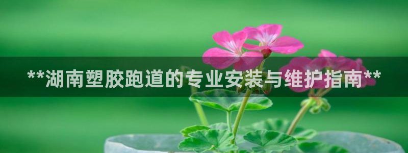 谈球吧平台app：**湖南塑胶跑道的专业安装与维护指南**
