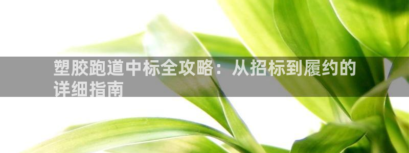谈球吧网页登陆：塑胶跑道中标全攻略：从招标到履约的
详细指南