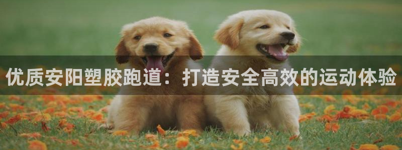 谈球吧nba：优质安阳塑胶跑道：打造安全高效的运动体验
