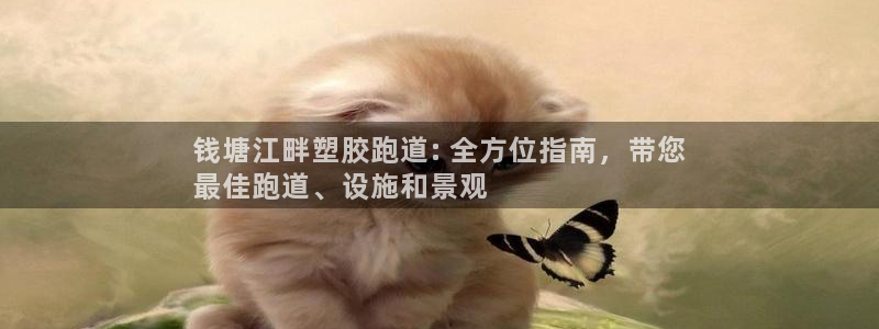 谈球吧官网app下载：钱塘江畔塑胶跑道: 全方位指南