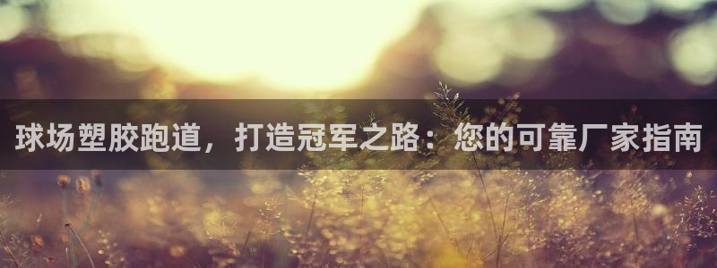 谈球吧体育app官网下载：球场塑胶跑道，打造冠军之路：您的可靠厂家指南
