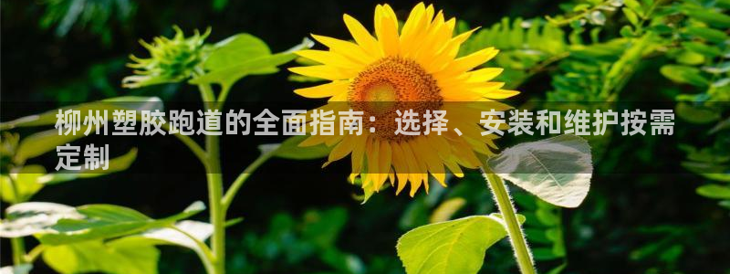 谈球吧官网在线入口免费观看高清：柳州塑胶跑道的全面指南：选择、安装和维护按需
定制