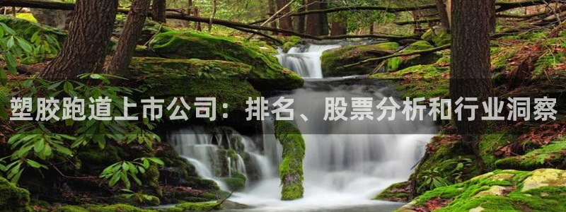 谈球吧是黑台子吗还是白台子好：塑胶跑道上市公司：排名、股票分析和行业洞察