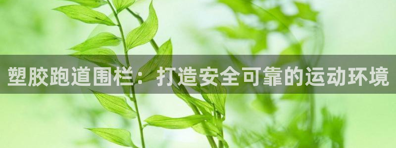 谈球吧登录：塑胶跑道围栏：打造安全可靠的运动环境