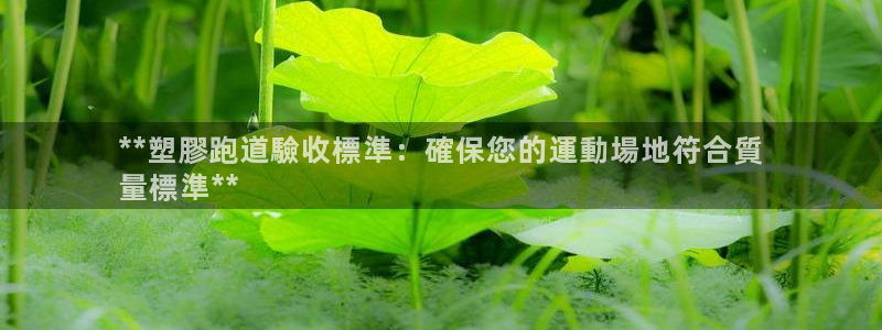 谈球吧官网在线入口手机版下载安装：**塑膠跑道驗收標準：確保您的運動場地符合質
量標準**