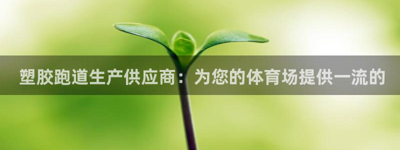 谈球吧app下载安装： 塑胶跑道生产供应商：为您的体育场提供一流的