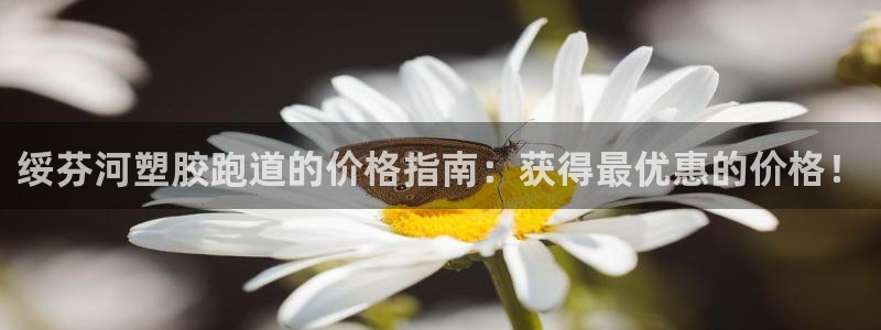 谈球吧在线登录免费观看：绥芬河塑胶跑道的价格指南：获得最优惠的价格！