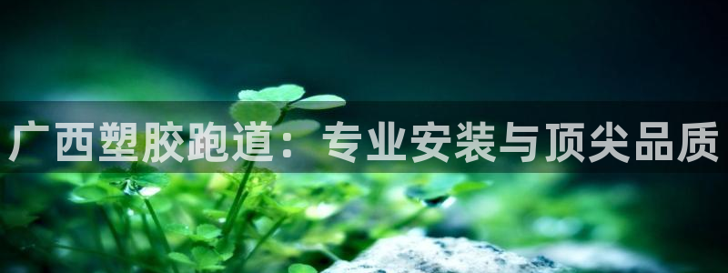 谈球吧体育app下载中心在哪找：广西塑胶跑道：专业安装与顶尖